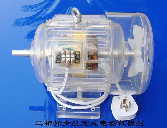 透明三相鼠笼电动机模型